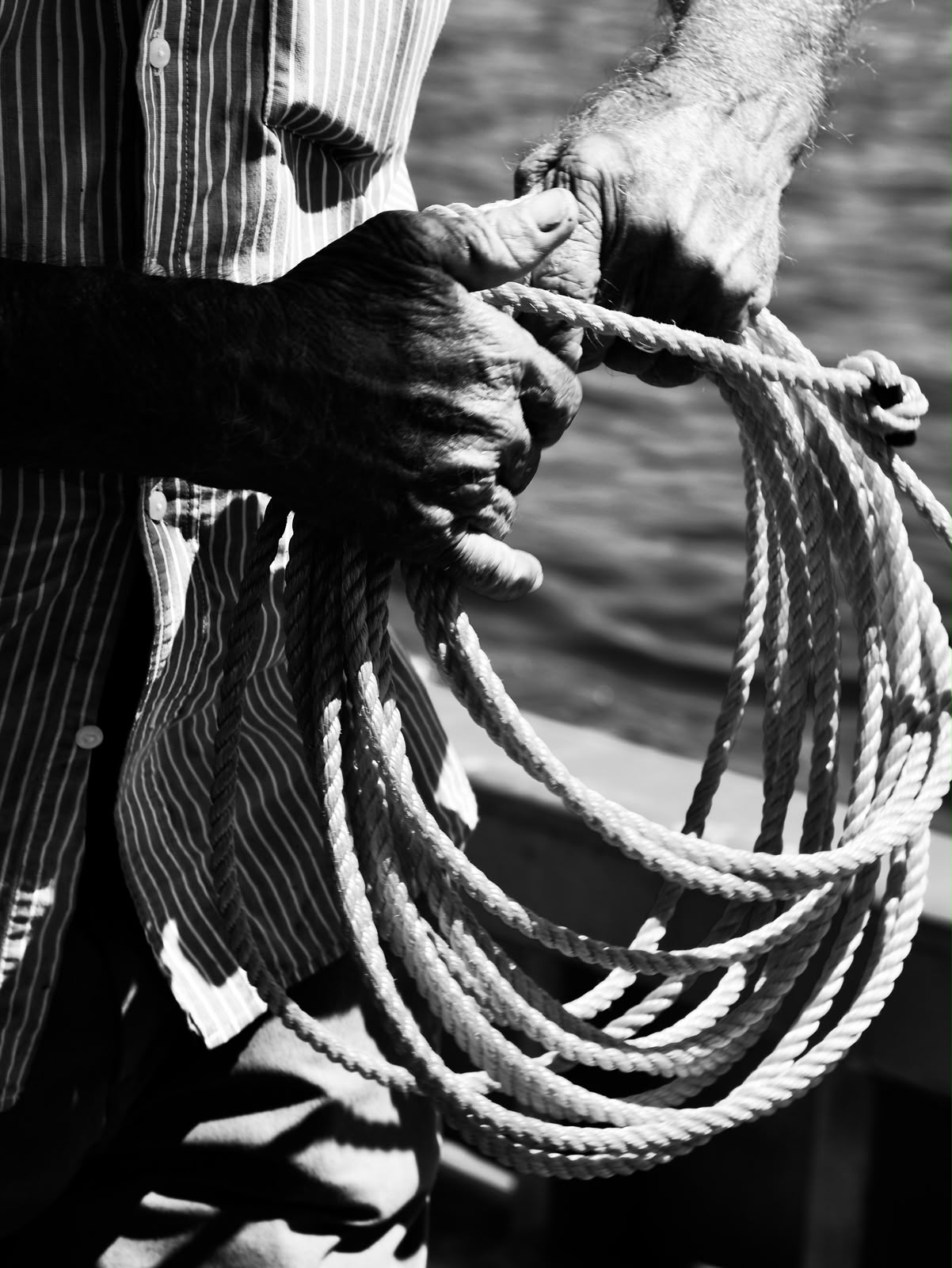62249c90 a9c7 45fb 9c44 eb52d973fd62 - La pesca al pescespada con le Feluche dello Stretto negli scatti di Arianna Macrì - FOTO - 7 62249c90 a9c7 45fb 9c44 eb52d973fd62 - Meraviglie di Calabria - 6