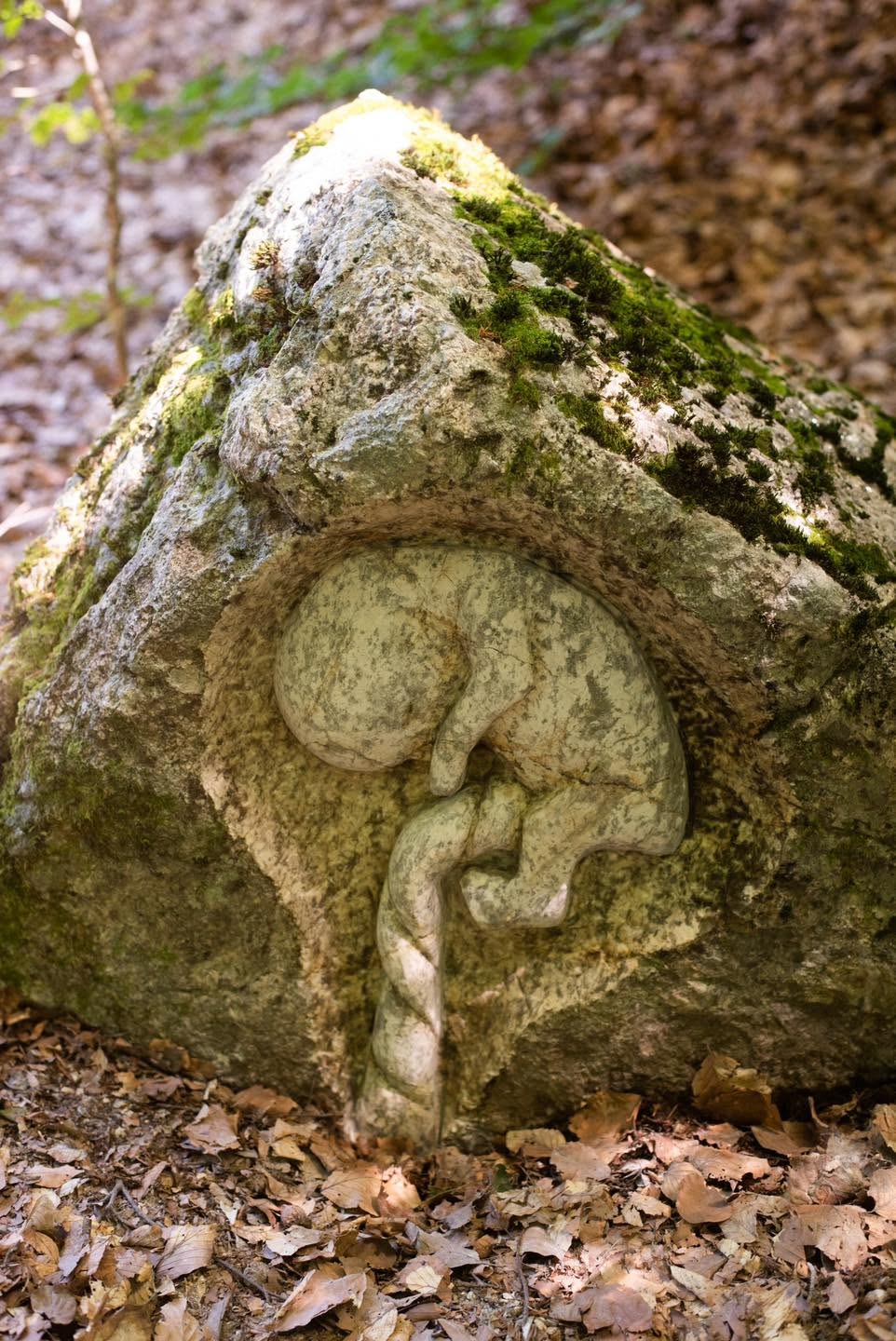 Aspromondo 4 - Meraviglie di Calabria - 4