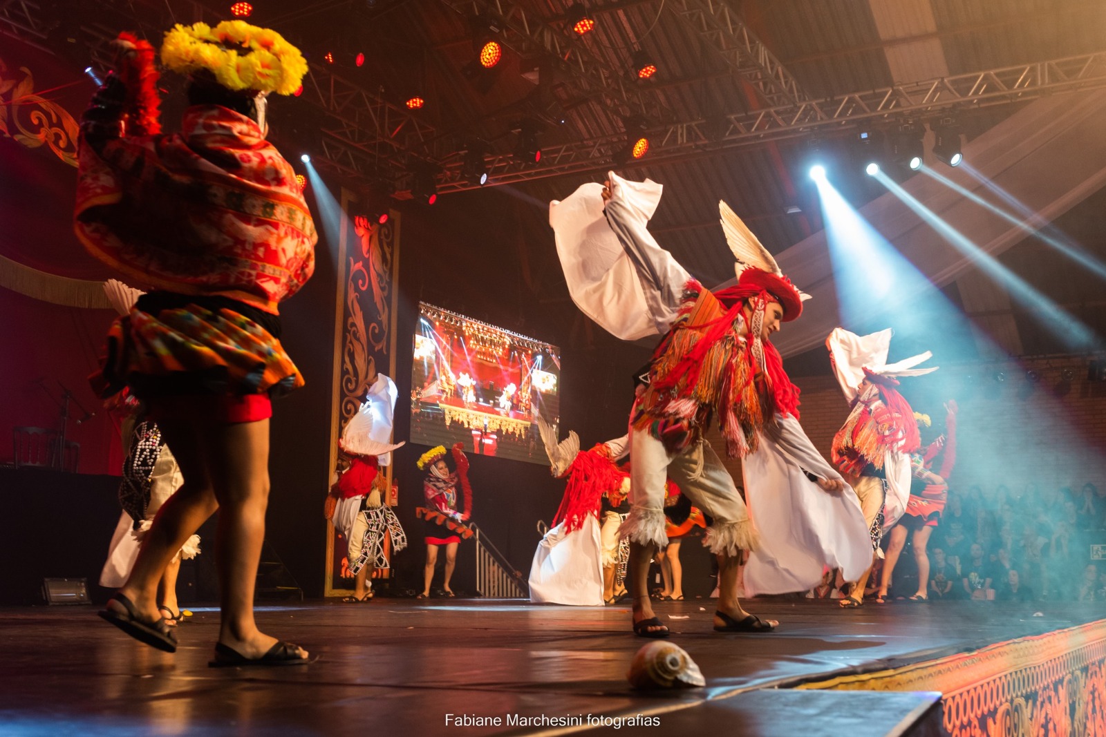 Castrovillari festifal floklore 4 - Da domani al via l'Estate del Folklore e del Parco del Pollino - 5 Castrovillari festifal floklore 4 - Meraviglie di Calabria - 4