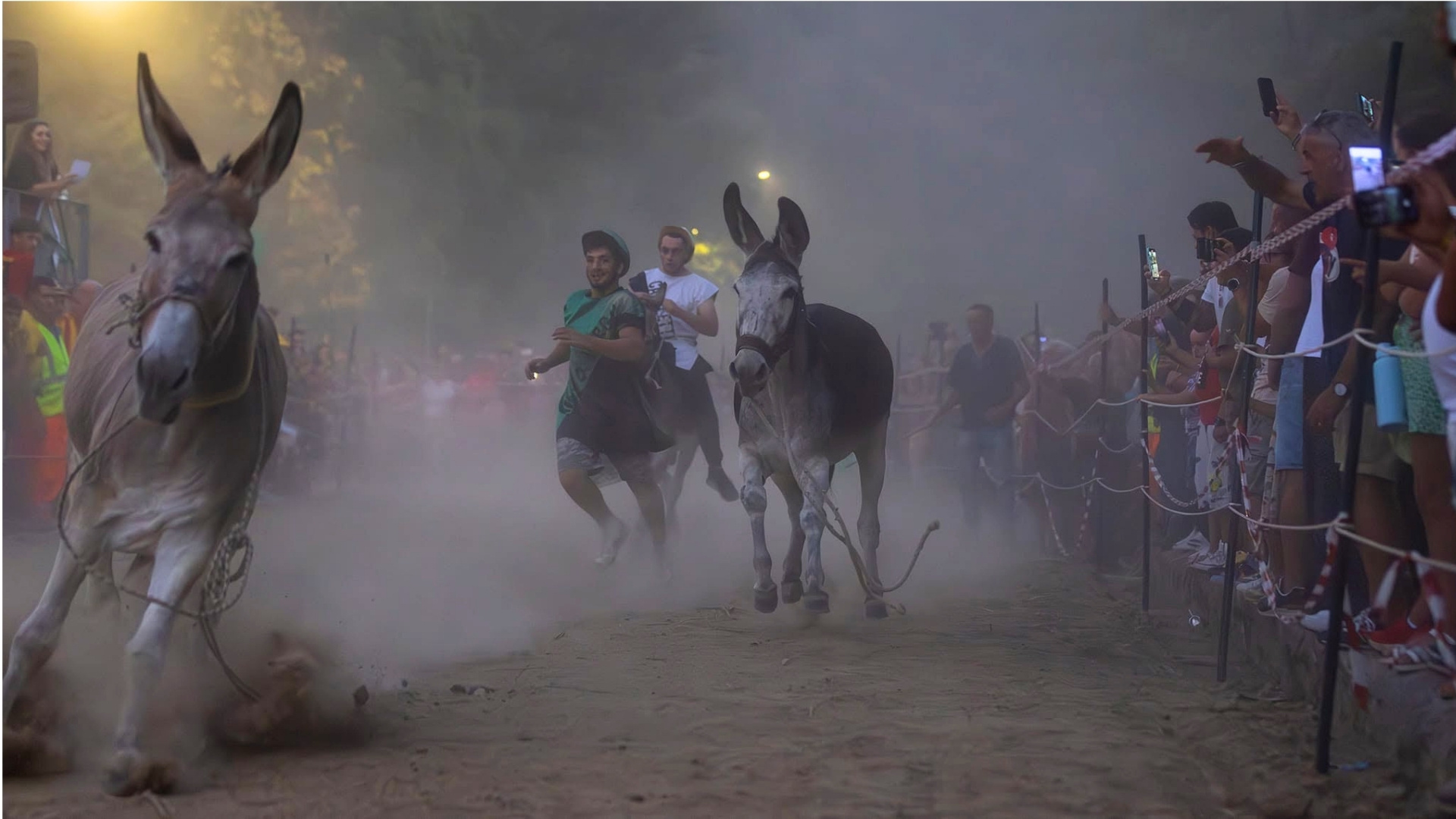 Sfida tra contrade a dorso di mulo, a Laino Borgo c’è il “Palio cu i ciucci”