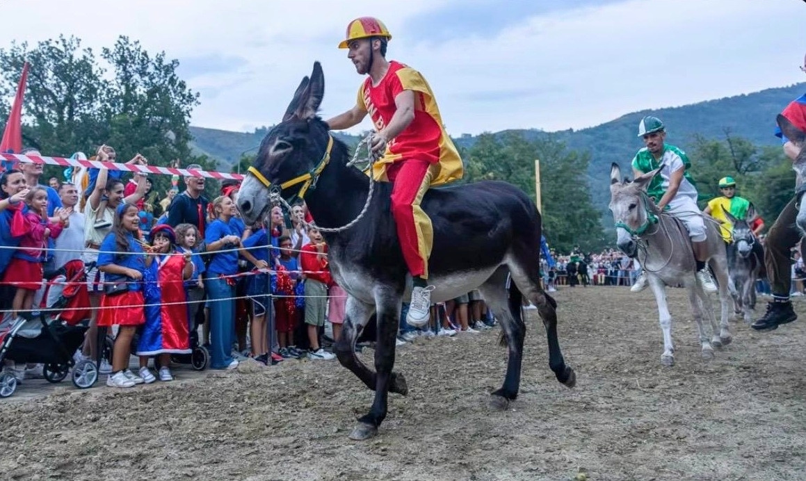 Palio Cu i Ciucci 2026 1 - Meraviglie di Calabria - 2