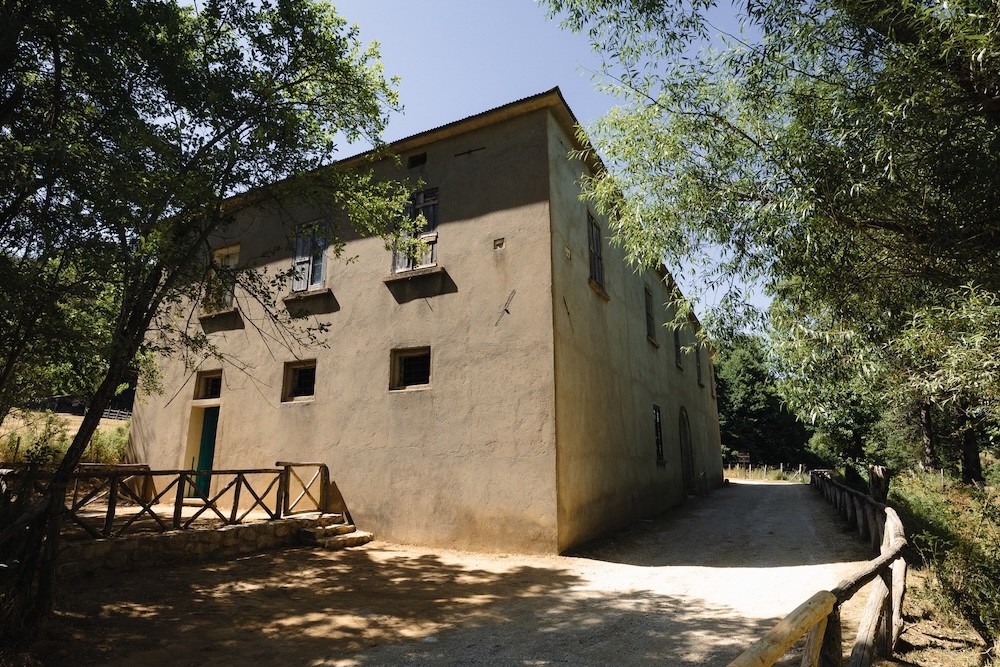 Sila Casino Mollo Ph Andrea Laratta C FAI - Sere FAI d'Estate in Sila: trekking, musica e i racconti delle stelle - 5 Sila Casino Mollo Ph Andrea Laratta C FAI - Meraviglie di Calabria - 4