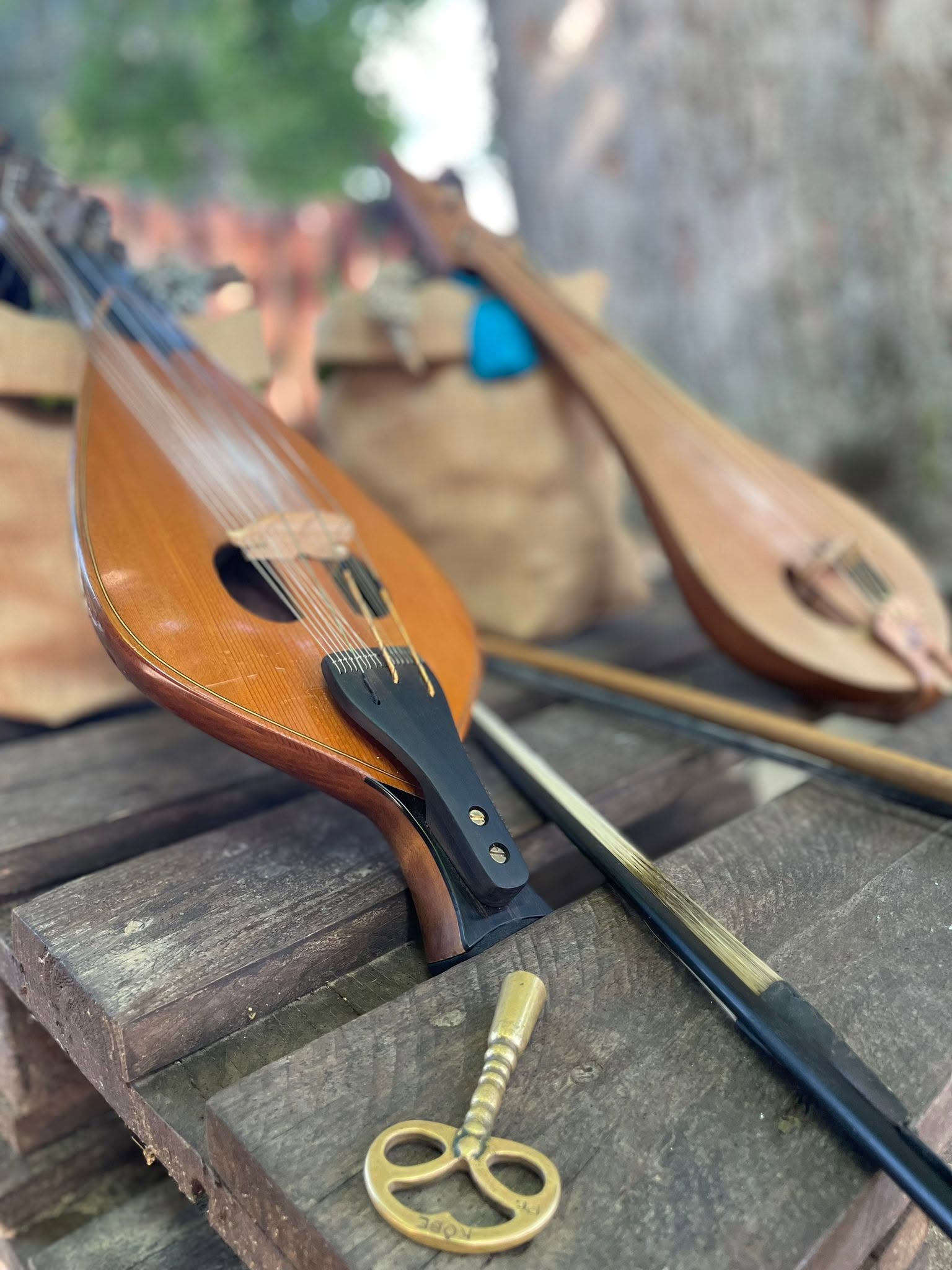 Sila Giganti 5 - Sere FAI d'Estate in Sila: trekking, musica e i racconti delle stelle - 9 Sila Giganti 5 - Meraviglie di Calabria - 8