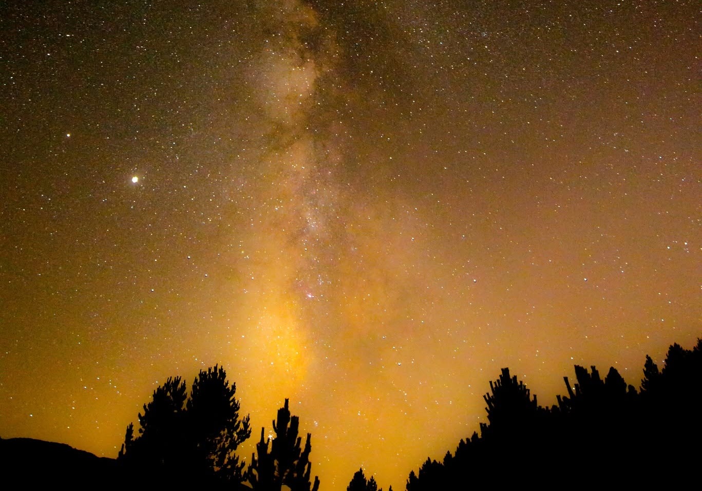 Sila Giganti stelle 1 a - Sere FAI d'Estate in Sila: trekking, musica e i racconti delle stelle - 19 Sila Giganti stelle 1 a - Meraviglie di Calabria - 18