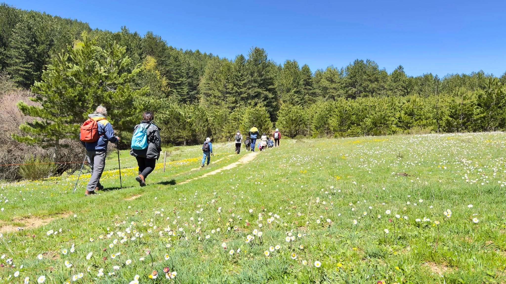 Sila trekking - I Parchi naturali calabresi al World Tourism Event di Assisi - 7 Sila trekking - Meraviglie di Calabria - 6