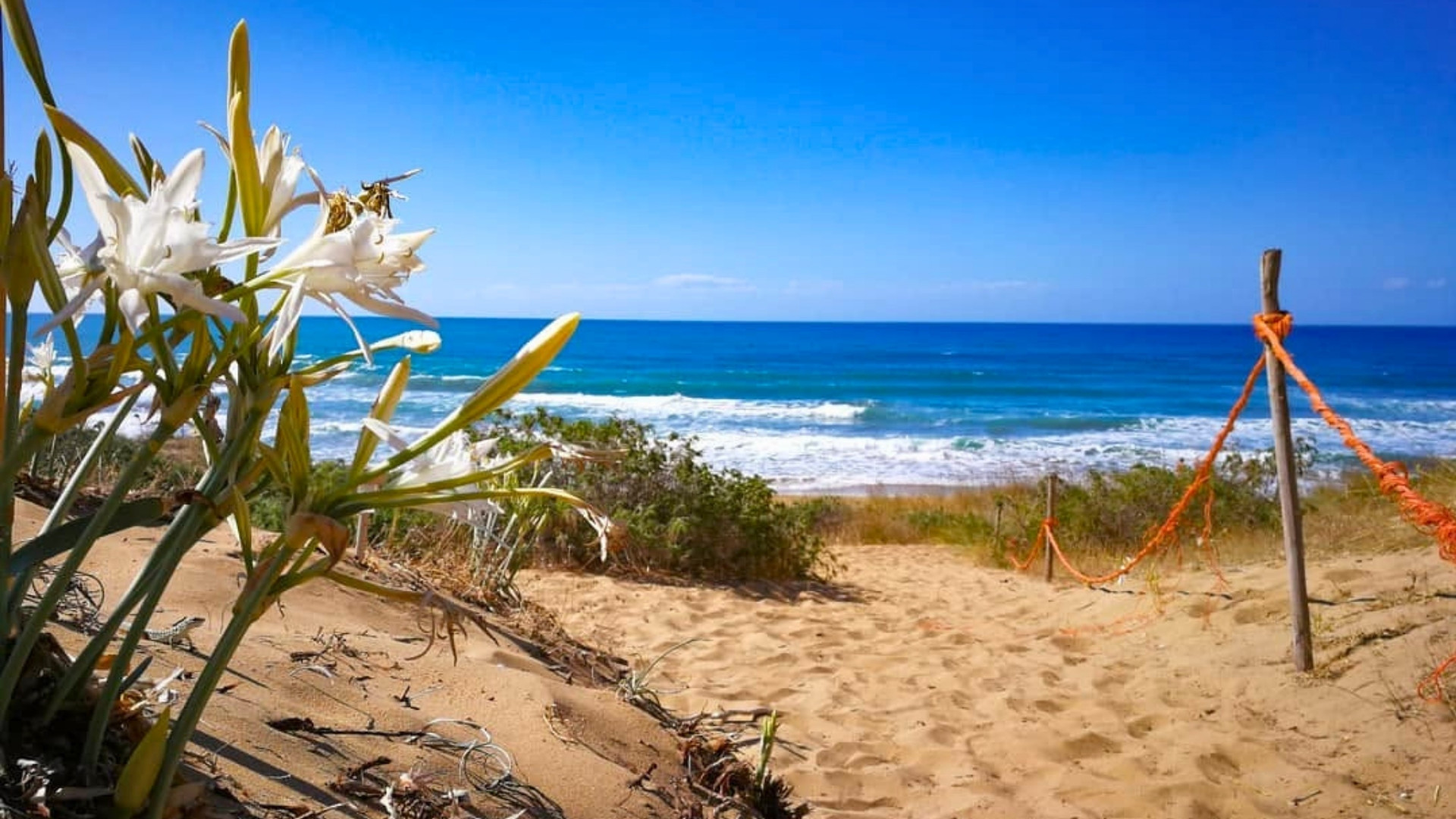 L’incanto della Spiaggia dei Gigli sulla Costa dei Saraceni
