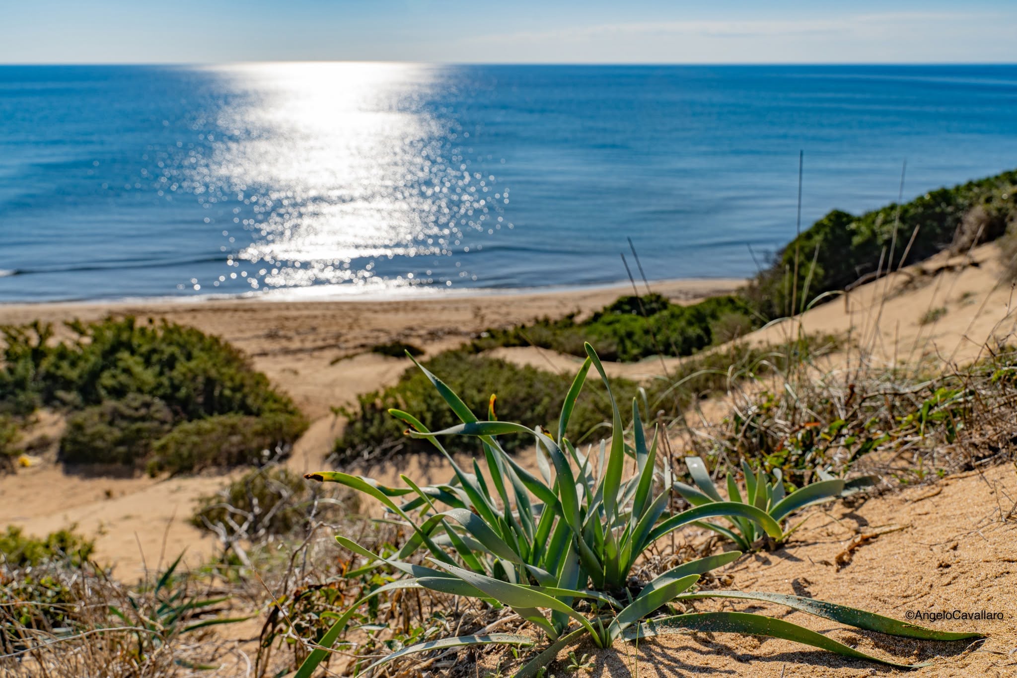 Sovereto spiaggia gigli ph Angelo Cavallaro 2 - Meraviglie di Calabria - 18