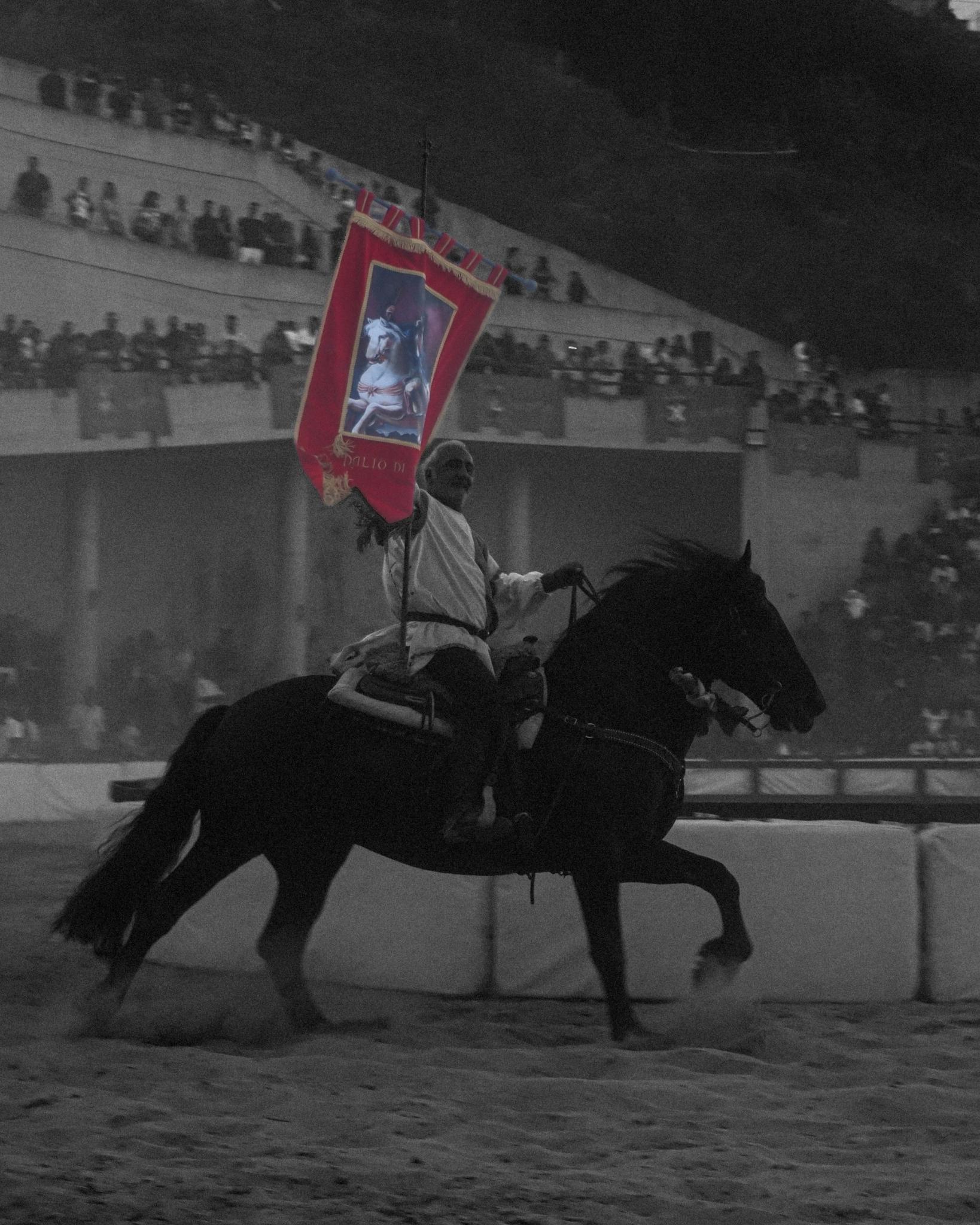Stilo Palio di Ribusa 14 - Stilo e la sua storia, lo splendore rinascimentale del Palio di Ribusa - 19 Stilo Palio di Ribusa 14 - Meraviglie di Calabria - 18