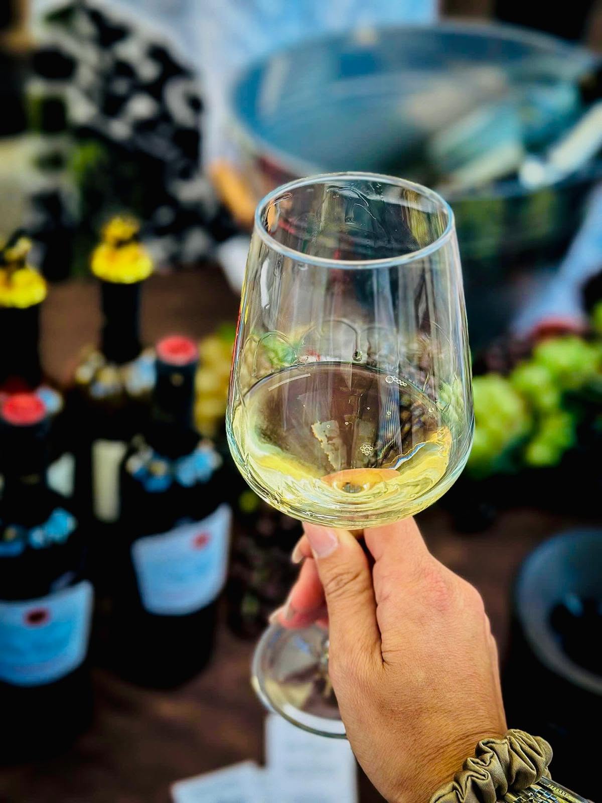 Vino - Wine lovers a Fiumefreddo Bruzio, torna Borgo diVino in tour - 5 Vino - Meraviglie di Calabria - 4