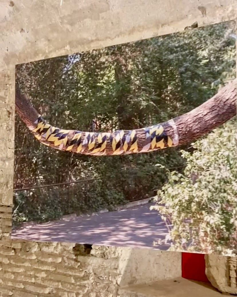 locri mostra zoo 11 - "Interno Zoo", la mostra di Christian Pardini al Parco di Locri Epizefiri - 15 locri mostra zoo 11 - Meraviglie di Calabria - 14