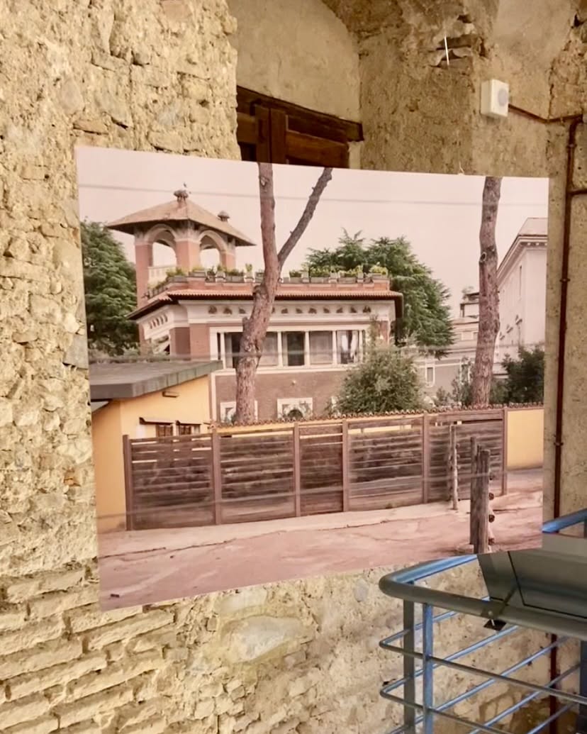 locri mostra zoo 12 - "Interno Zoo", la mostra di Christian Pardini al Parco di Locri Epizefiri - 13 locri mostra zoo 12 - Meraviglie di Calabria - 12