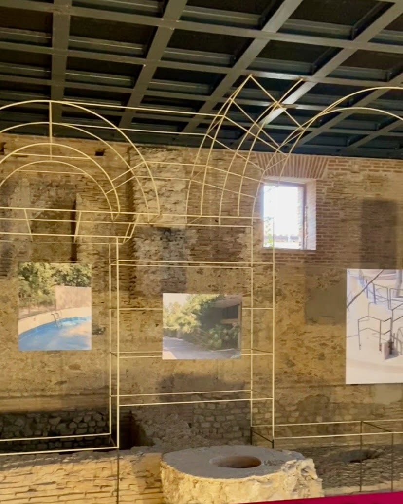 locri mostra zoo 13 - "Interno Zoo", la mostra di Christian Pardini al Parco di Locri Epizefiri - 11 locri mostra zoo 13 - Meraviglie di Calabria - 10