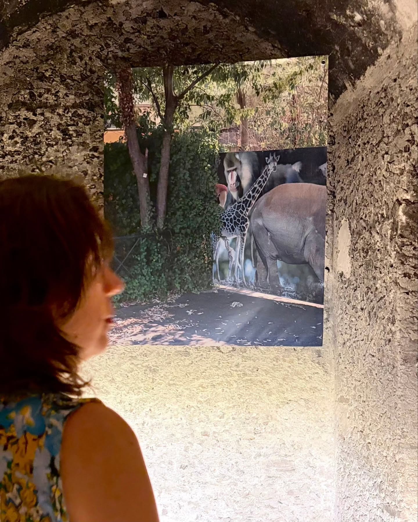 locri mostra zoo 3 - "Interno Zoo", la mostra di Christian Pardini al Parco di Locri Epizefiri - 17 locri mostra zoo 3 - Meraviglie di Calabria - 16