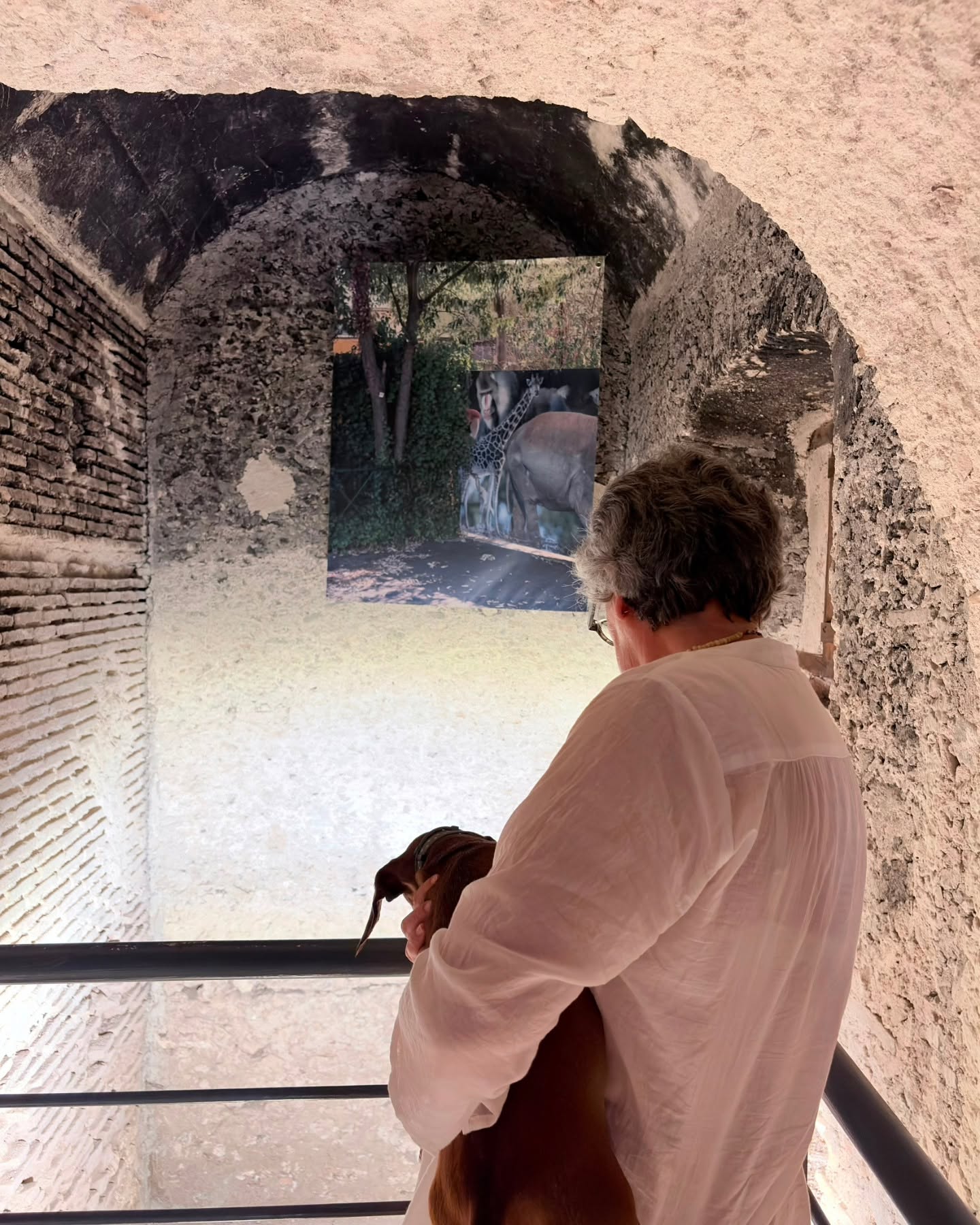 locri mostra zoo 7 - "Interno Zoo", la mostra di Christian Pardini al Parco di Locri Epizefiri - 23 locri mostra zoo 7 - Meraviglie di Calabria - 22