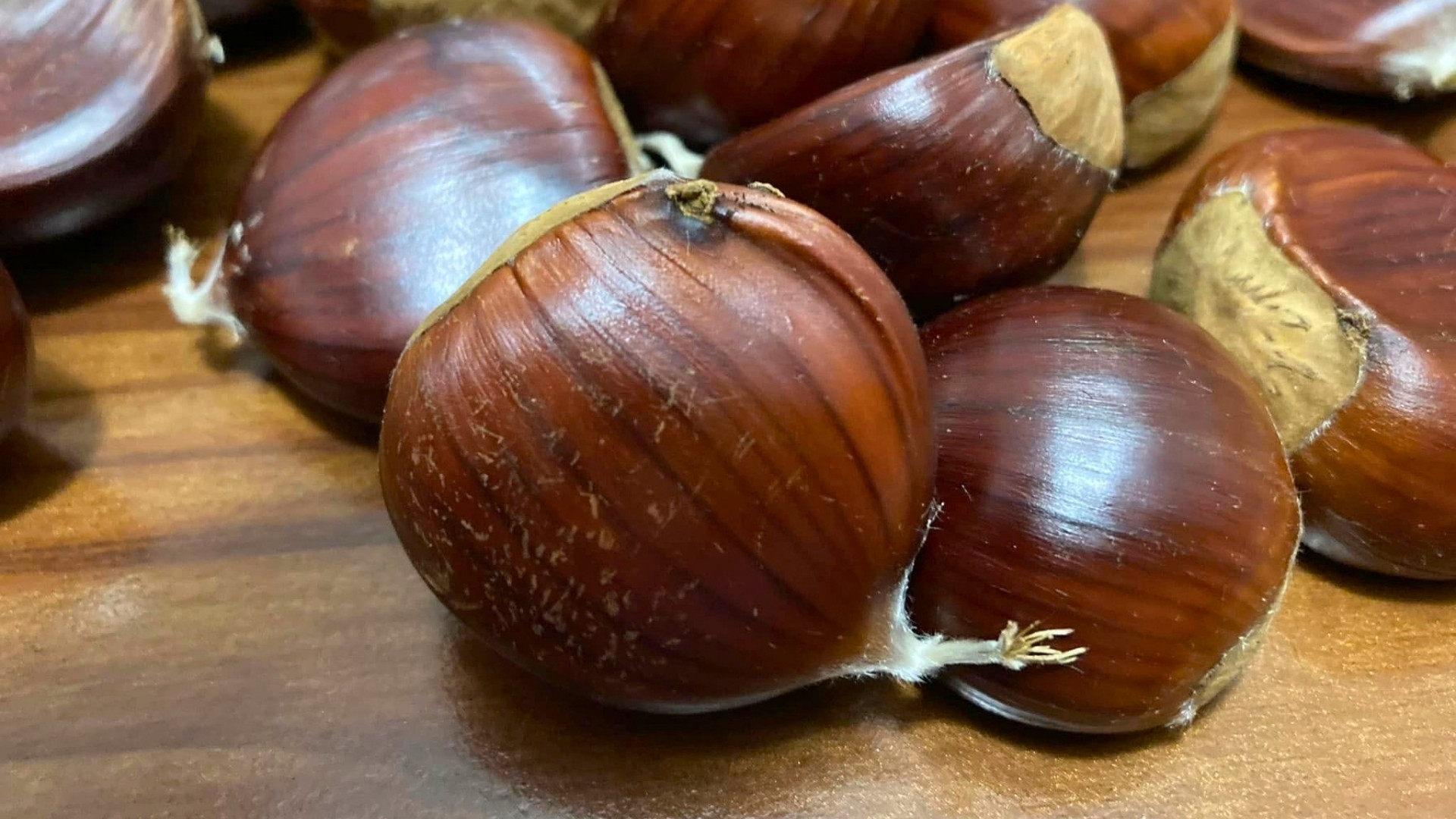 La Calabria nel Presidio Slow Food della castanicoltura tradizionale