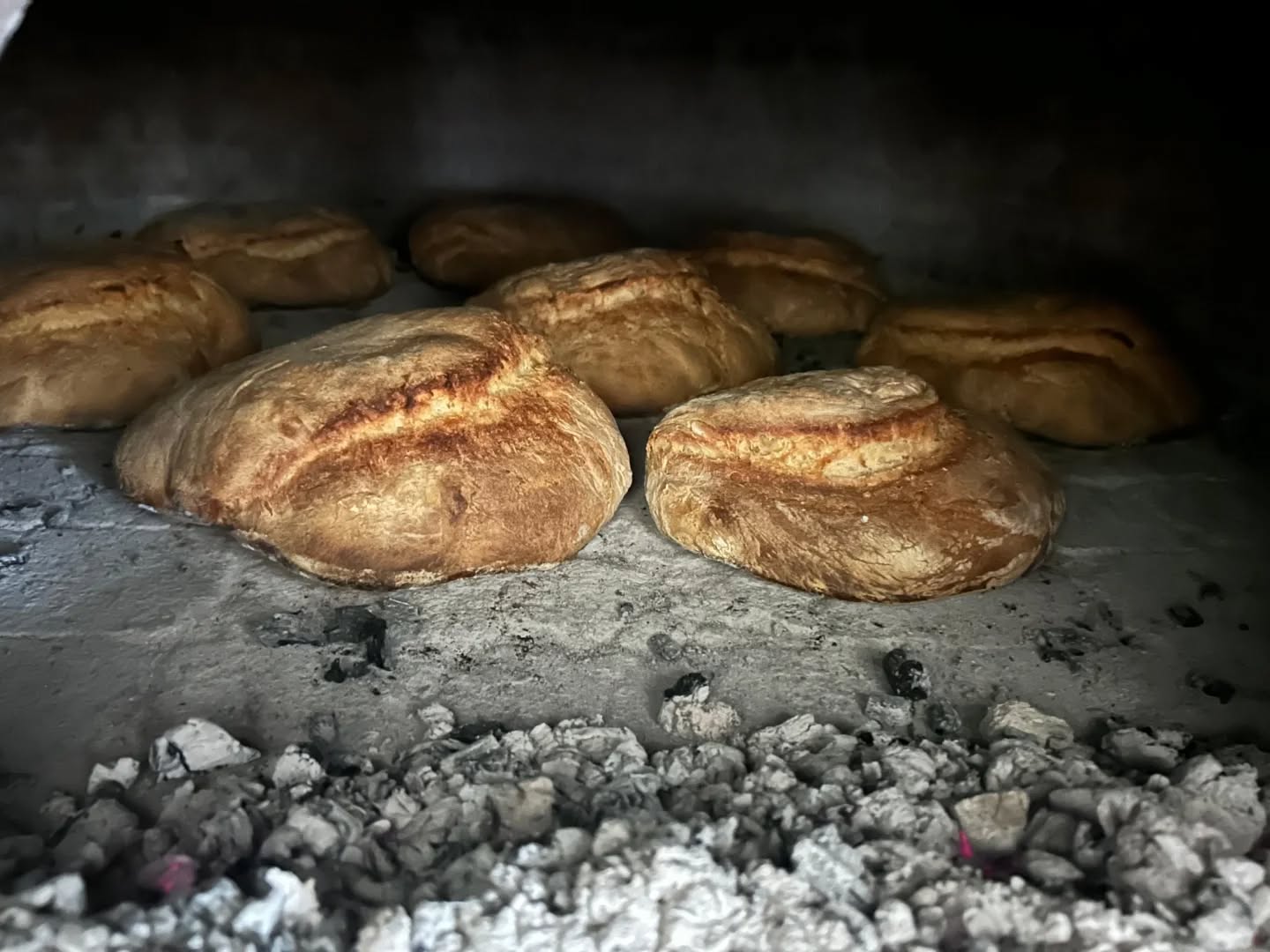 Pane di Cerchiara ph InstaCerchiara 6 - Pane di Cerchiara, la metafora dell'attesa che dà valore al tempo - 15 Pane di Cerchiara ph InstaCerchiara 6 - Meraviglie di Calabria - 14