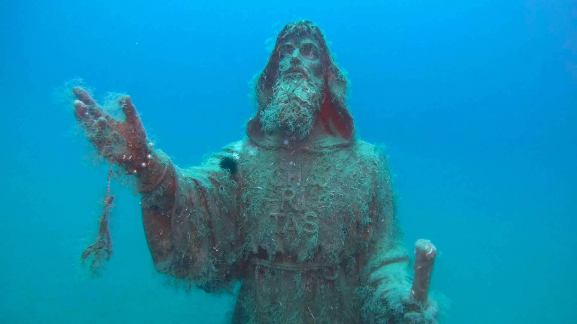 San Francesco di Paola, piccoli miracoli nati in fondo al mare