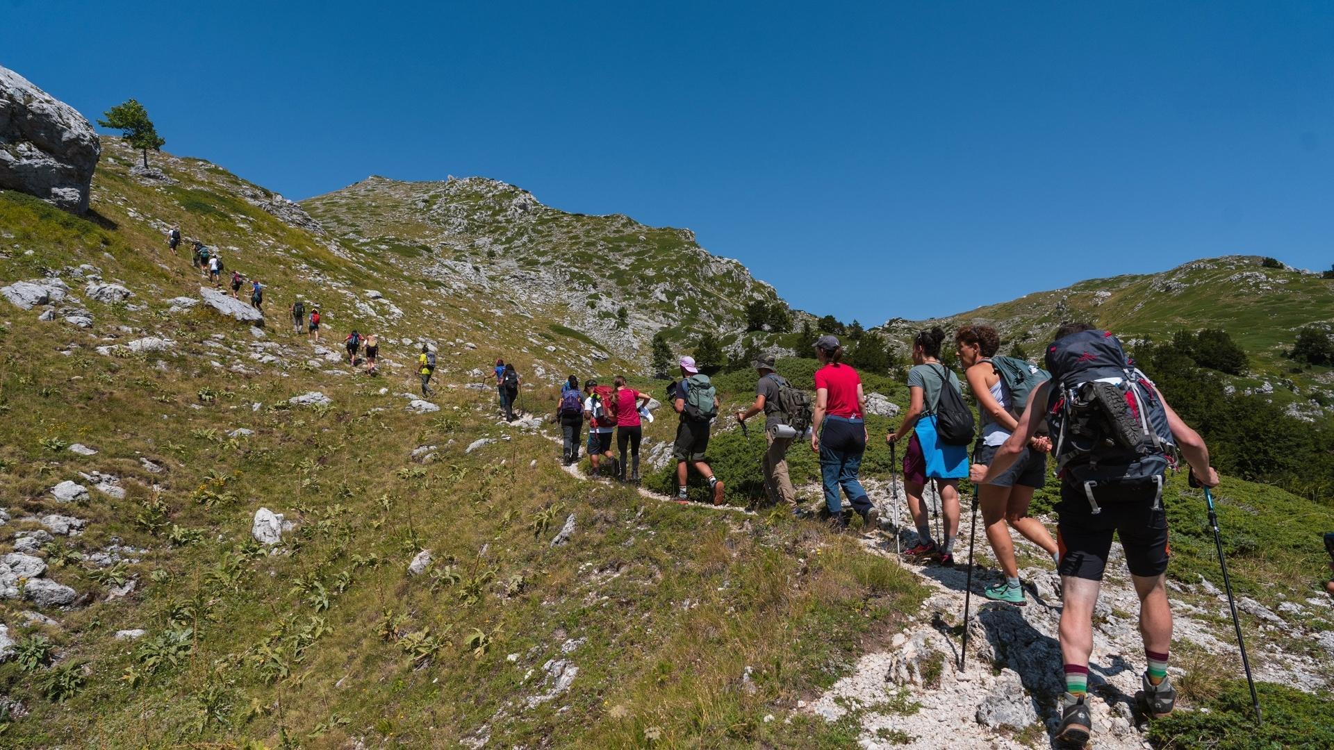 Tanti luoghi, tante storie, un solo festival: ecco il Festival Pollino-Sybaris