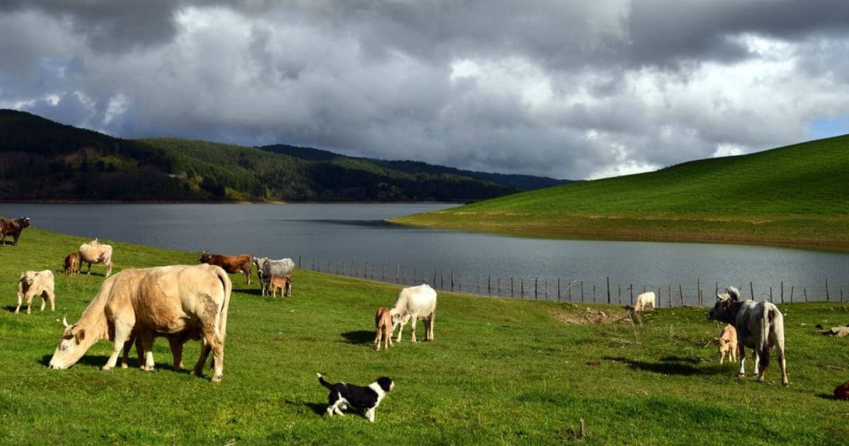 Turismo esperienziale, nasce “Sila Felix”