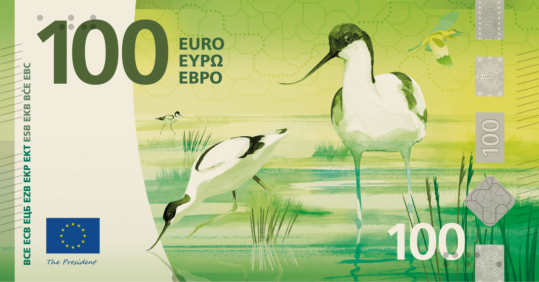 euro uccelli 100 - Nuove banconote in euro, le sei specie finaliste che volano in Calabria - 9 euro uccelli 100 - Meraviglie di Calabria - 8