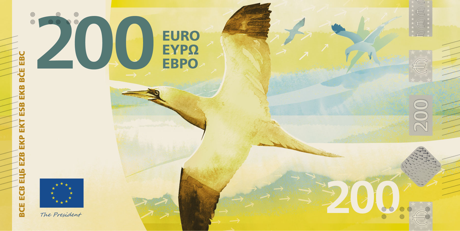euro uccelli 200 - Nuove banconote in euro, le sei specie finaliste che volano in Calabria - 7 euro uccelli 200 - Meraviglie di Calabria - 6