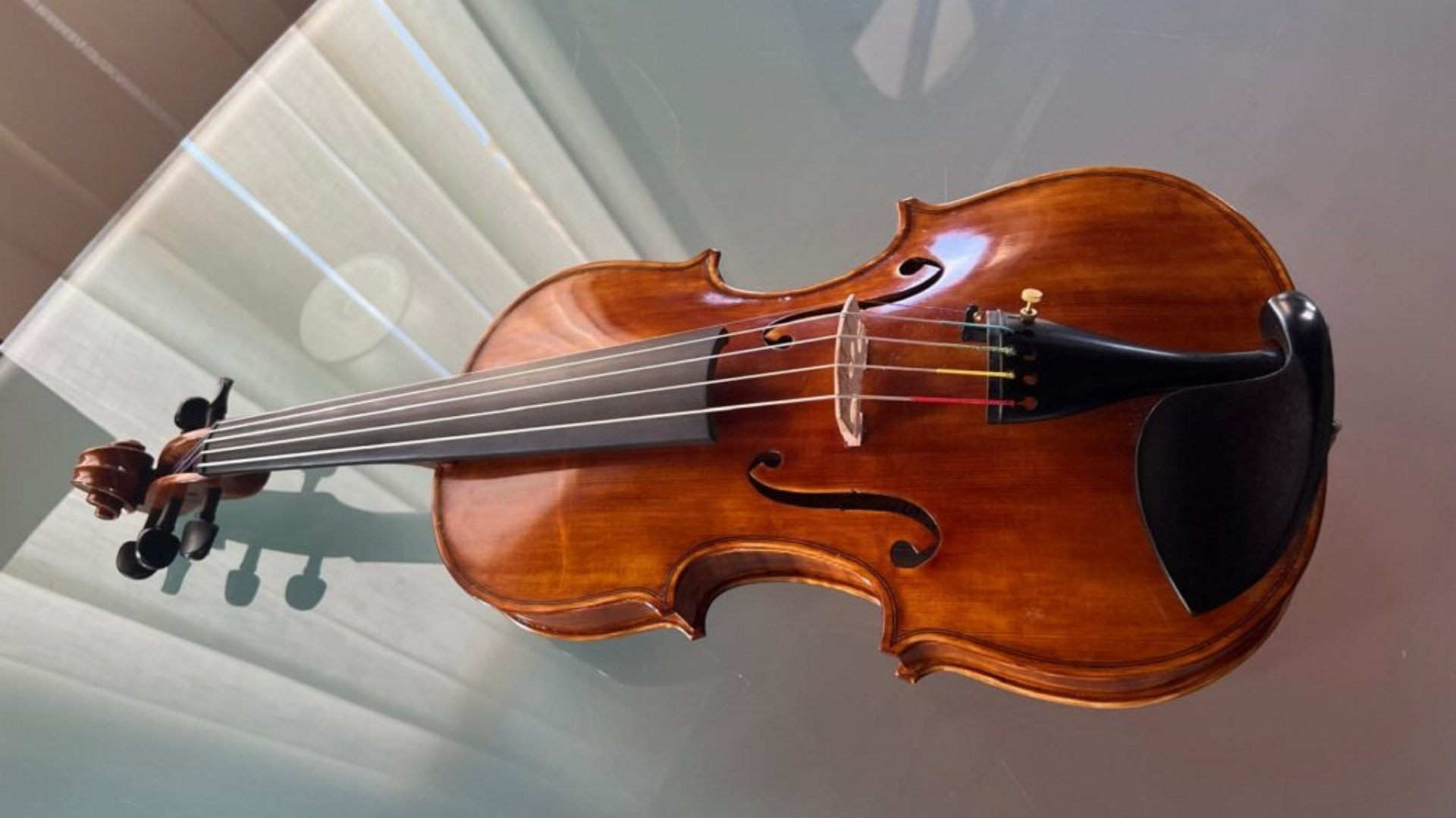 liueria Corrado gran violino a 5 corde - La lira calabrese dei liutai Corrado suonata nel tour di Fiorella Mannoia - 13 liueria Corrado gran violino a 5 corde - Meraviglie di Calabria - 12