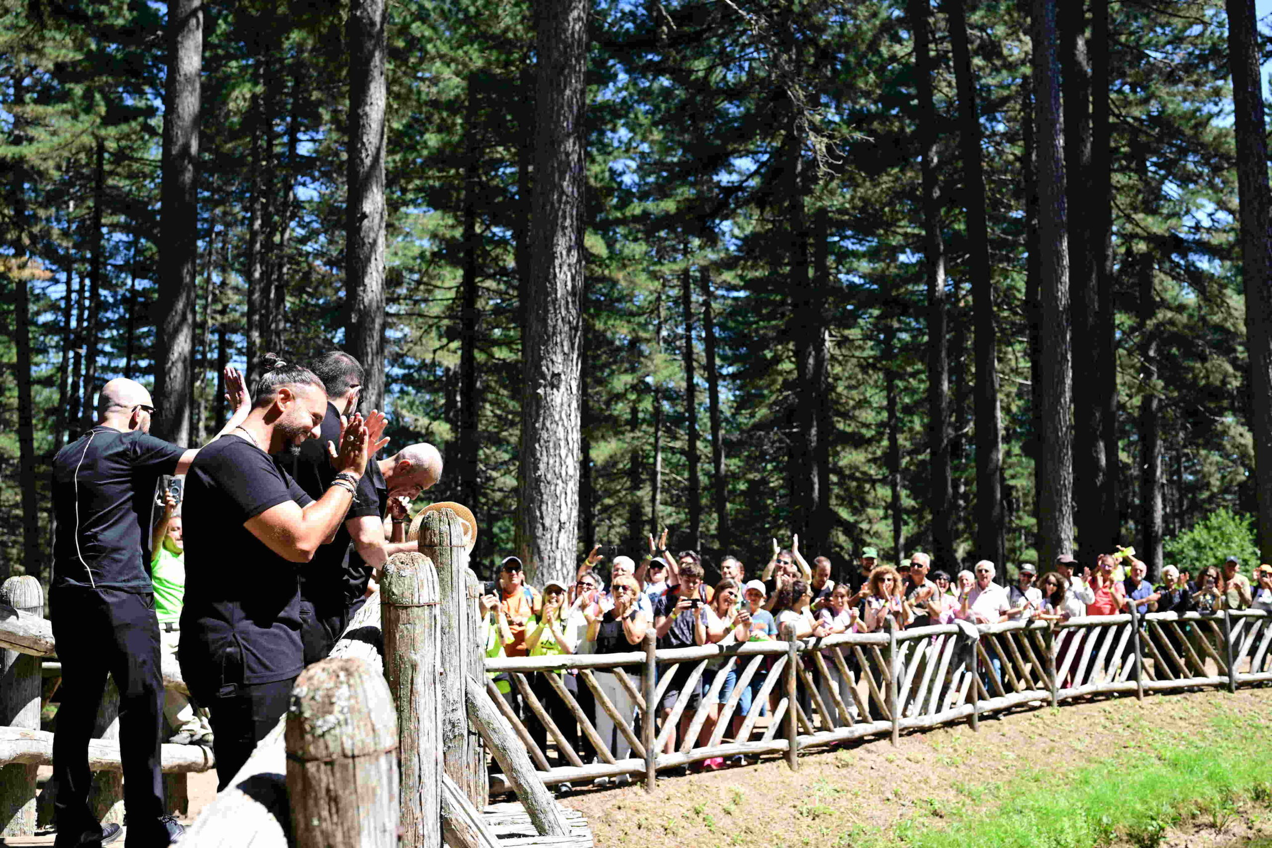 opera Sila Neri per Caso 2 scaled - Montagna esperienza collettiva, è il successo di Opera Sila - 9 opera Sila Neri per Caso 2 scaled - Meraviglie di Calabria - 8