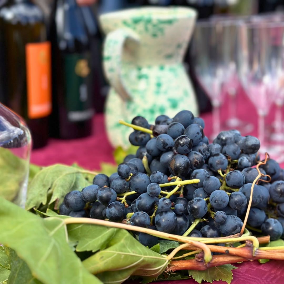 sagra uva e vino cosenza donnici 2 - Sagra dell'uva e del vino, la festa raddoppia: primo assaggio a Cosenza - 17 sagra uva e vino cosenza donnici 2 - Meraviglie di Calabria - 16