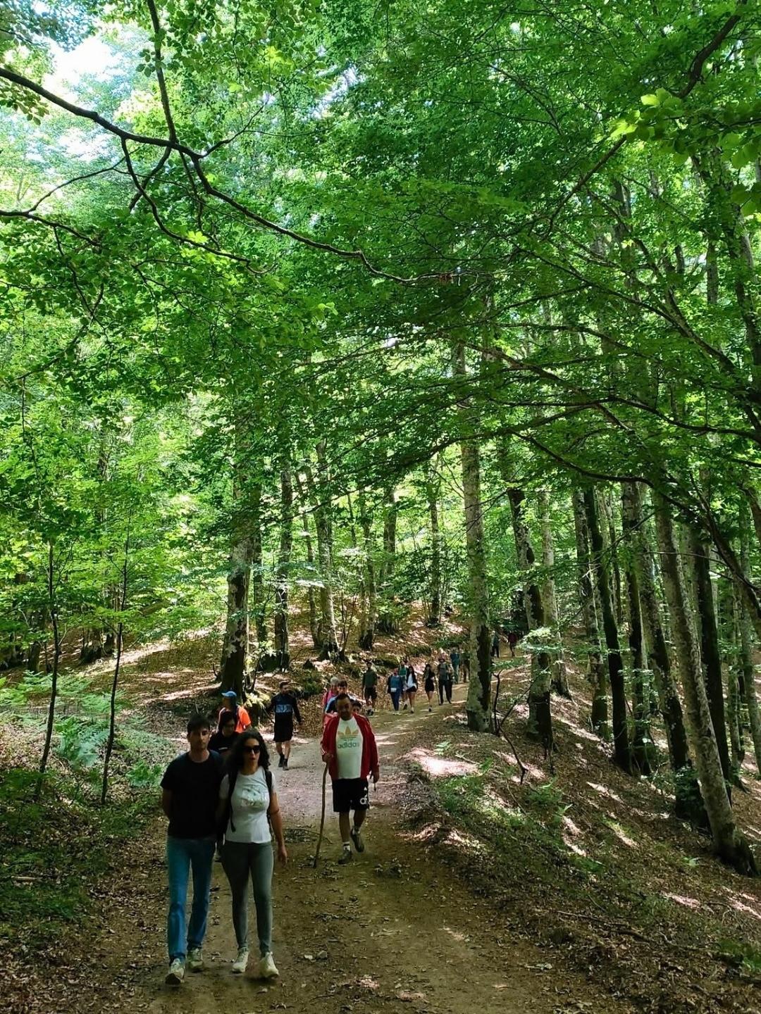 san francesco di paola cammino 8 - Cammino di San Francesco di Paola, un passo utile alla Via per la Francia - 11 san francesco di paola cammino 8 - Meraviglie di Calabria - 10