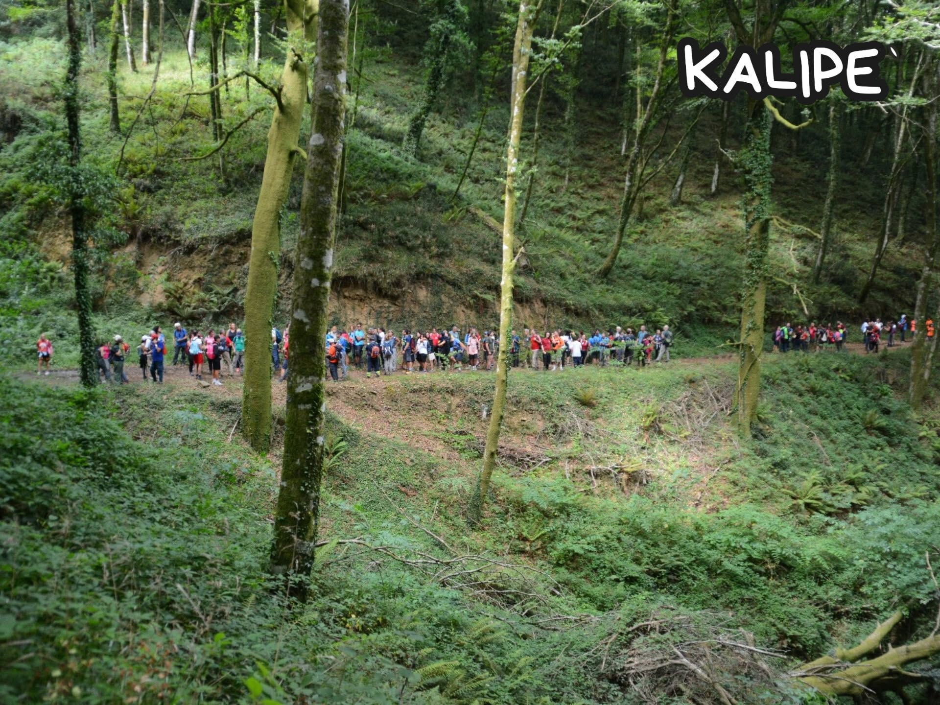 trekking 5 - Meraviglie di Calabria - 4