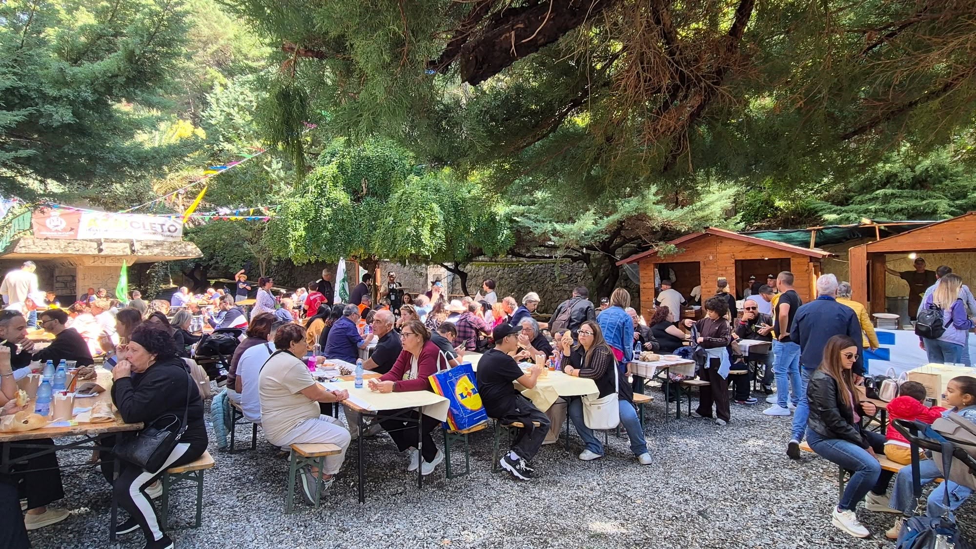 844046133 1138905788658455 1026992851963472334 n - Meraviglie di Calabria - 6