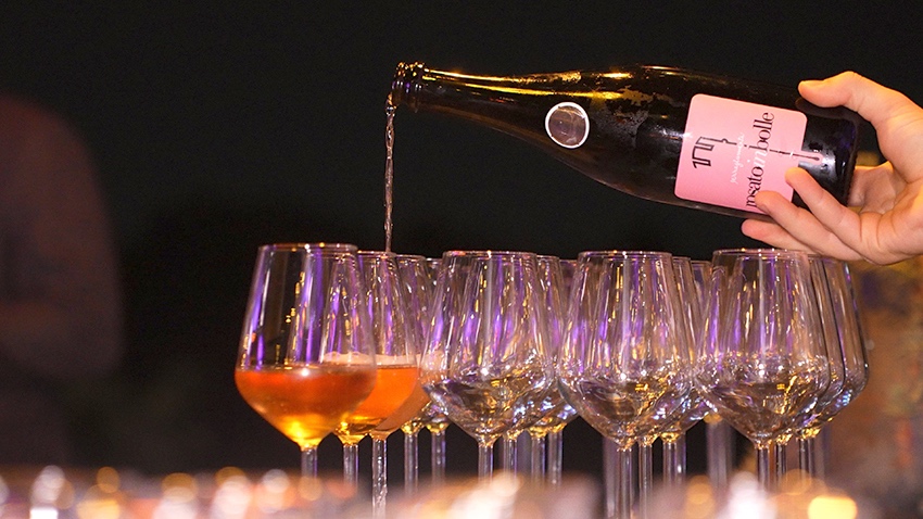 Calabria Wine & Film Fest, prima edizione un successo. Si punta alla seconda