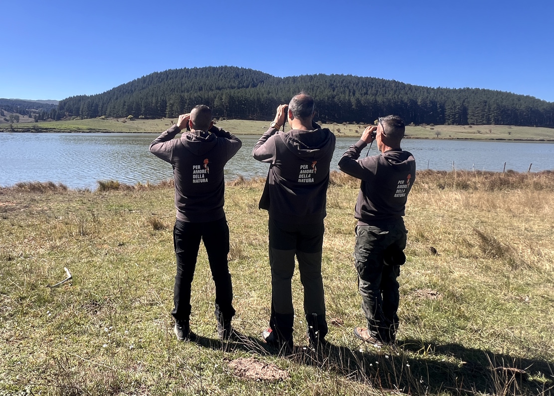 EBW 2026 GLC LIPU SILA 2 - Eurobirdwatch 2026 da record nel Parco Nazionale della Sila - 5 EBW 2026 GLC LIPU SILA 2 - Meraviglie di Calabria - 4