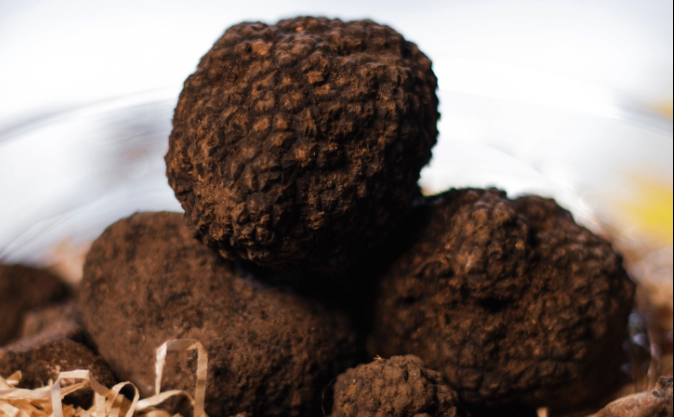 ee99a4d1 a683 97e4 bce1 93440c324a37 - Il 31 ottobre e il 1 novembre a Campotenese torna “Tartufi e Funghi del Pollino” - 3 ee99a4d1 a683 97e4 bce1 93440c324a37 - Meraviglie di Calabria - 2